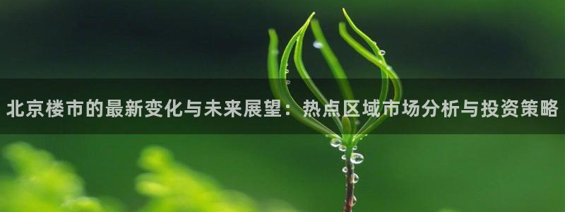 新宝5是谁的：北京楼市的最新变化与未来展望：热点区域市场分析