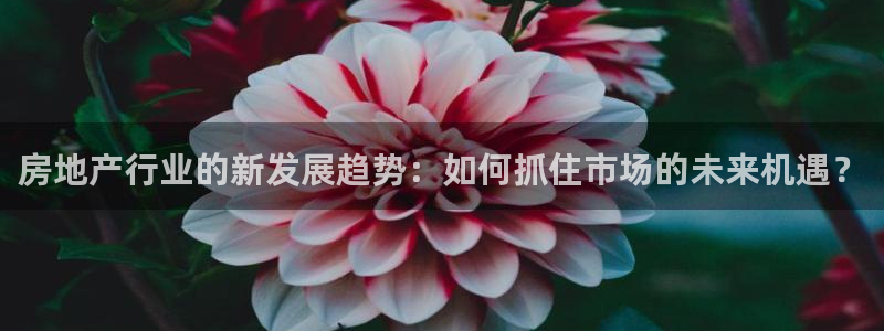 新宝5 - 测速登陆：房地产行业的新发展趋势：如何抓住市场的