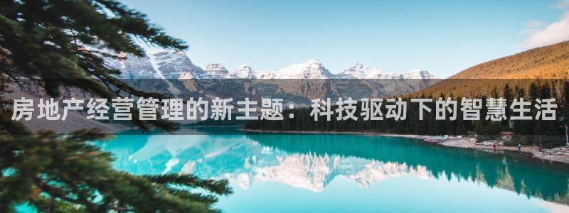 新宝娱乐5