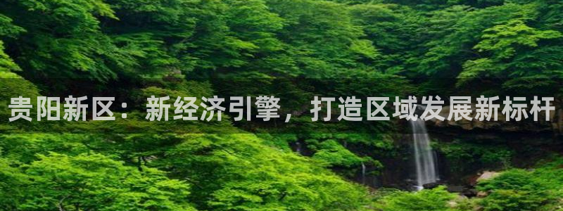 股票5G宝新：贵阳新区：新经济引擎，打造区域发展新标杆