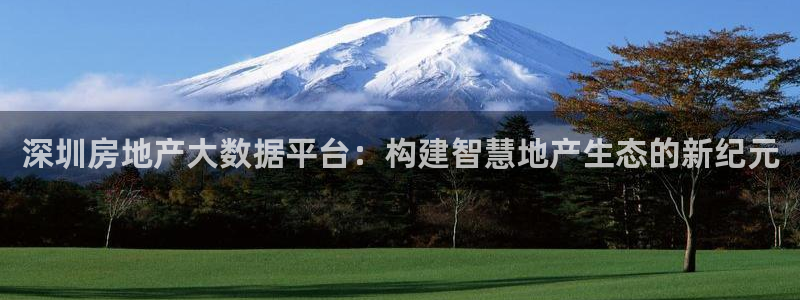 新宝5娱乐主管：深圳房地产大数据平台：构建智慧地产生态的新纪