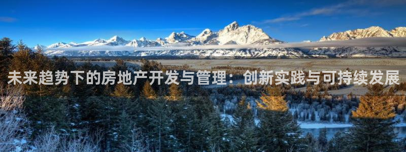 新宝5娱乐登录：未来趋势下的房地产开发与管理：创新实践与可持