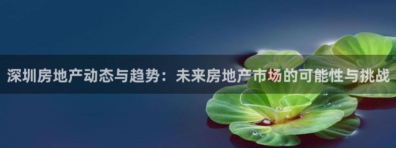 新宝5娱乐方：深圳房地产动态与趋势：未来房地产市场的可能性与