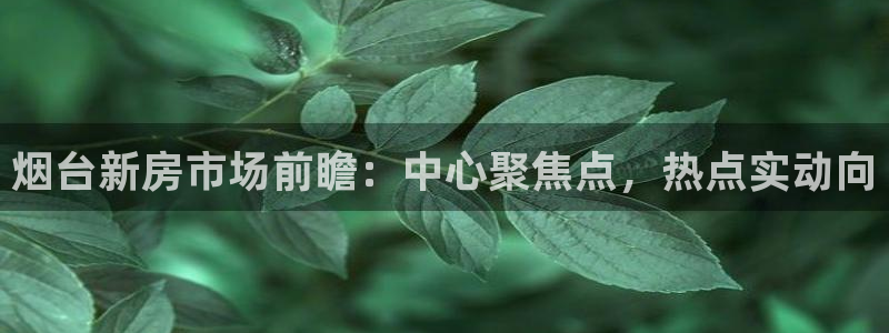 新宝5 注册：烟台新房市场前瞻：中心聚焦点，热点实动向