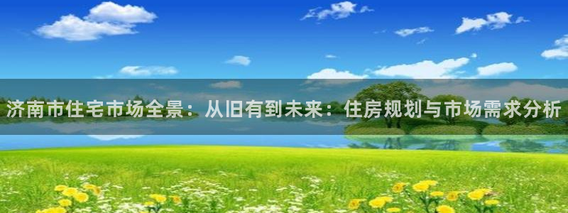 新宝5_测：济南市住宅市场全景：从旧有到未来：住房规划与市场