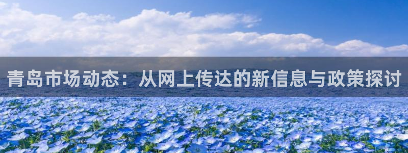 新宝5下载测试：青岛市场动态：从网上传达的新信息与政策探讨