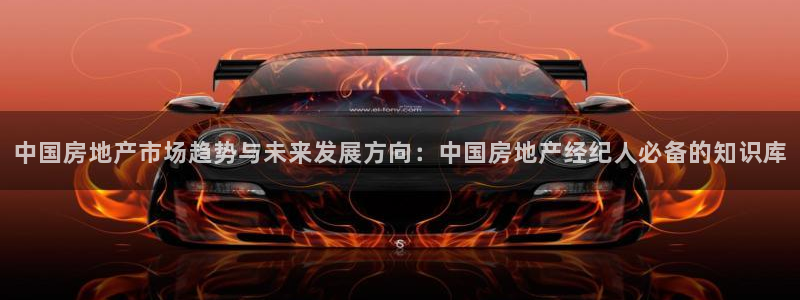 新宝rm5：中国房地产市场趋势与未来发展方向：中国房地产经纪