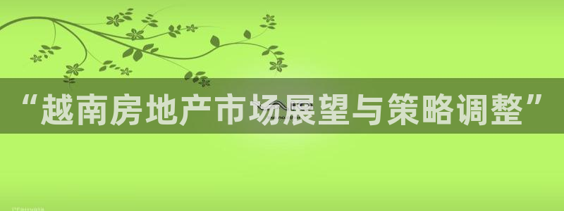 新宝5地址：“越南房地产市场展望与策略调整”