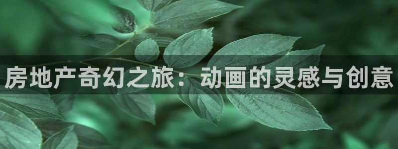新宝5测速登录：房地产奇幻之旅：动画的灵感与创意