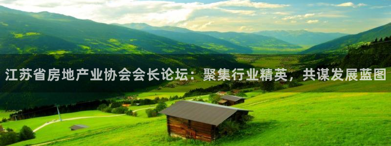新宝5手机下载：江苏省房地产业协会会长论坛：聚集行业精英，共