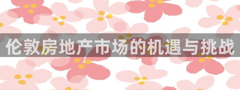 新宝G5：伦敦房地产市场的机遇与挑战