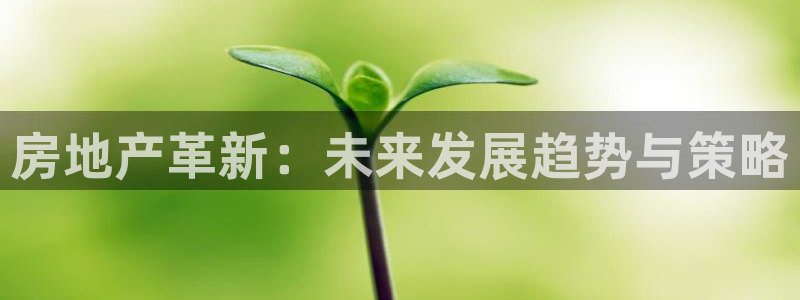 新宝5在哪里：房地产革新：未来发展趋势与策略