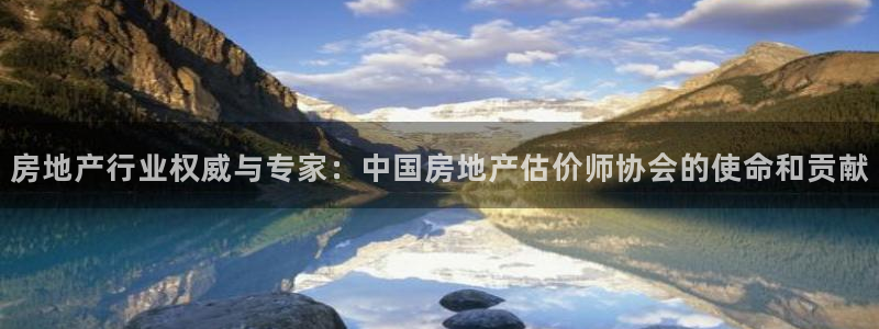 新宝5巅峰：房地产行业权威与专家：中国房地产估价师协会的使命