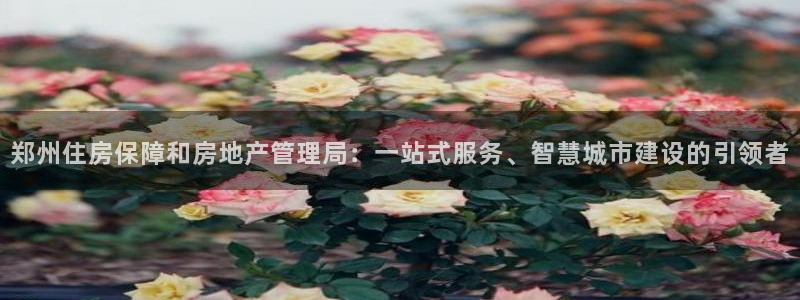 新宝娱乐5：郑州住房保障和房地产管理局：一站式服务、智慧城市