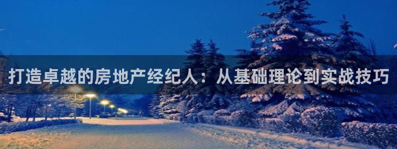 新宝5玩法：打造卓越的房地产经纪人：从基础理论到实战技巧