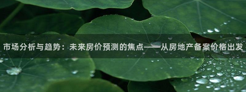 新宝cR一5：市场分析与趋势：未来房价预测的焦点——从房地产
