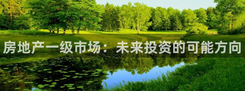 新宝5app手机下载：房地产一级市场：未来投资的可能方向