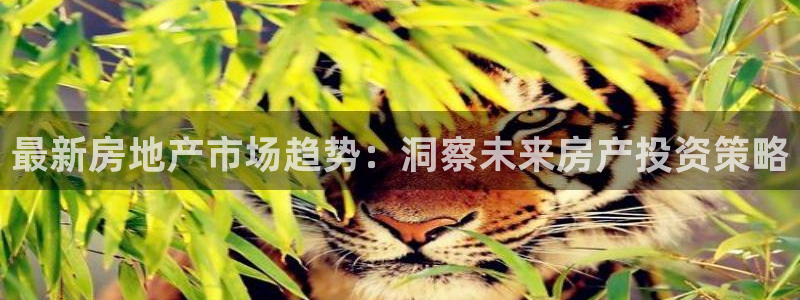 新宝5娱乐经：最新房地产市场趋势：洞察未来房产投资策略