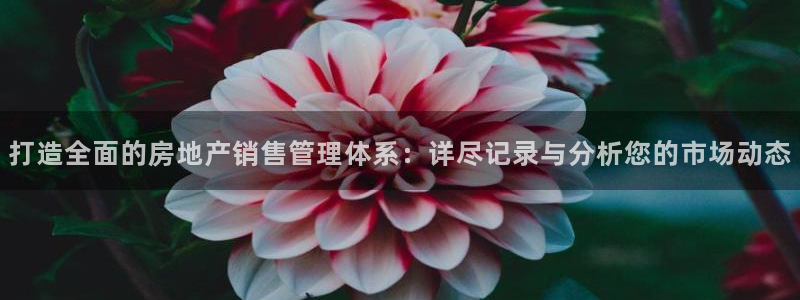 新宝5登录注册：打造全面的房地产销售管理体系：详尽记录与分析