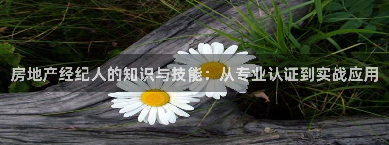 新宝娱乐5入口：房地产经纪人的知识与技能：从专业认证到实战应