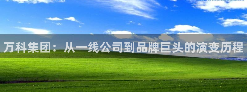 新宝奇迹GG5：万科集团：从一线公司到品牌巨头的演变历程