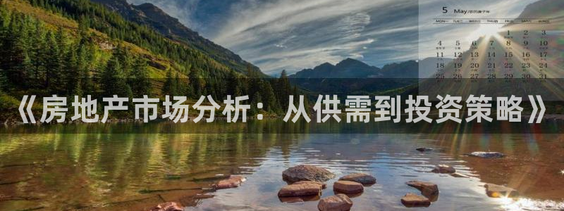 新宝G5：《房地产市场分析：从供需到投资策略》