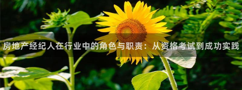 新宝5-测速：房地产经纪人在行业中的角色与职责：从资格考试到