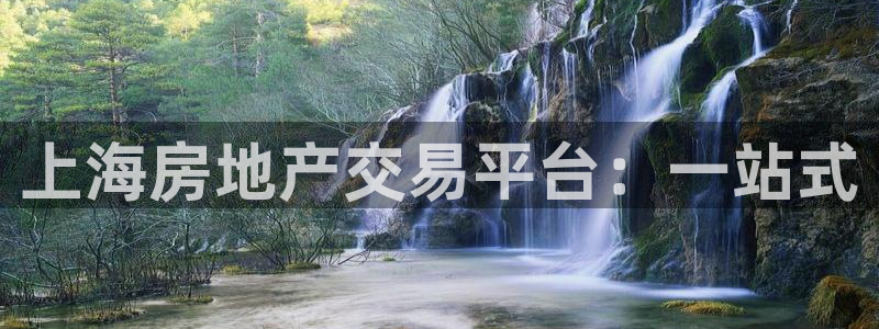 新宝5登陆地址：上海房地产交易平台：一站式