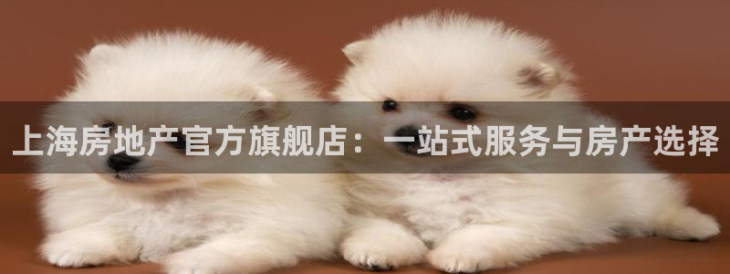 新宝5注册账号：上海房地产官方旗舰店：一站式服务与房产选择