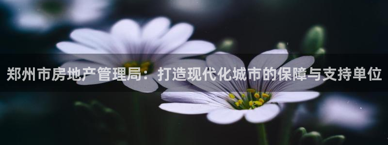 新宝5注册首页：郑州市房地产管理局：打造现代化城市的保障与支