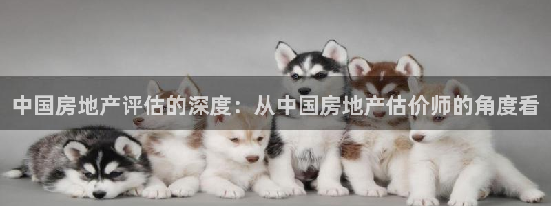 新宝股东瞧听2 5 5：中国房地产评估的深度：从中国房地产估