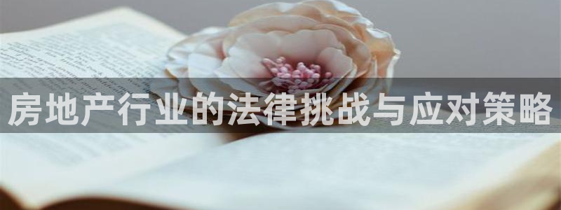 新宝5挂机：房地产行业的法律挑战与应对策略