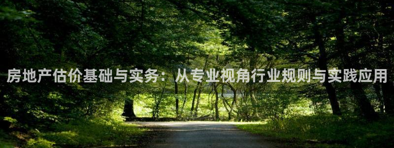 新宝6霸哥5：房地产估价基础与实务：从专业视角行业规则与实践