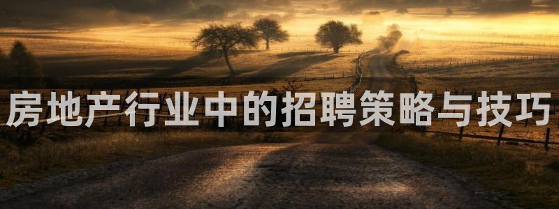 老新宝5授权登录：房地产行业中的招聘策略与技巧