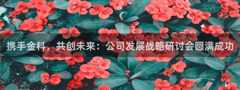 新宝5客户端登录：携手金科，共创未来：公司发展战略研讨会圆满