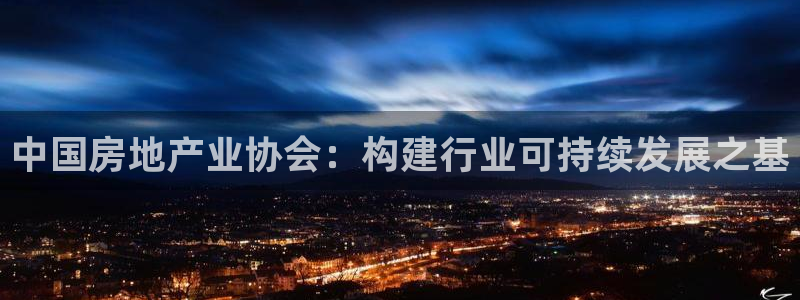 新宝5测速在线：中国房地产业协会：构建行业可持续发展之基