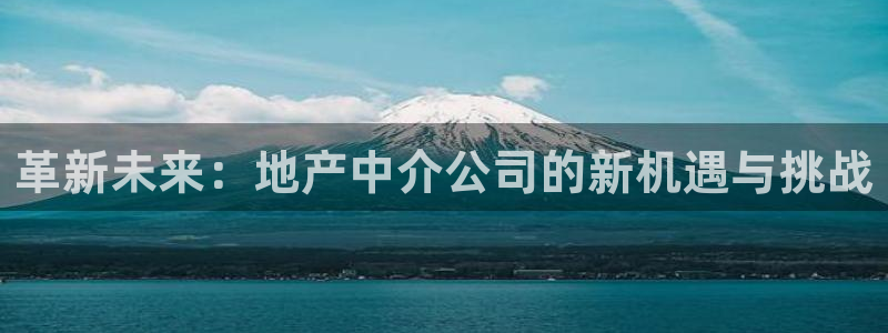 新宝5公司：革新未来：地产中介公司的新机遇与挑战