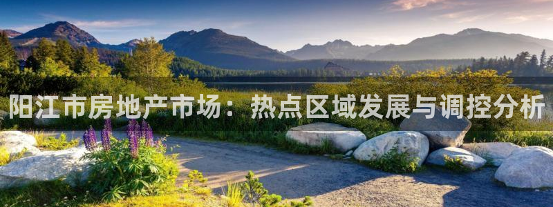 新宝5骗术：阳江市房地产市场：热点区域发展与调控分析
