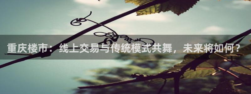 新宝5网站：重庆楼市：线上交易与传统模式共舞，未来将如何？