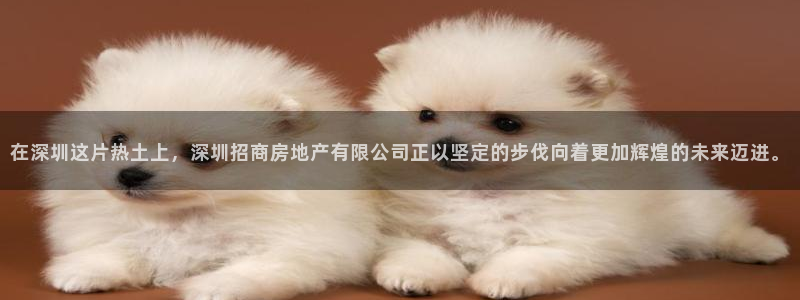 新宝5测速在线：在深圳这片热土上，深圳招商房地产有限公司正以