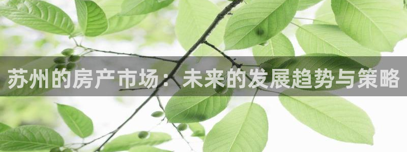 新宝5下载官方