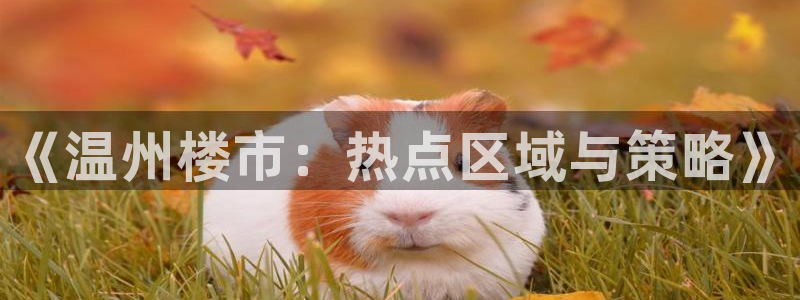 新宝5安卓版