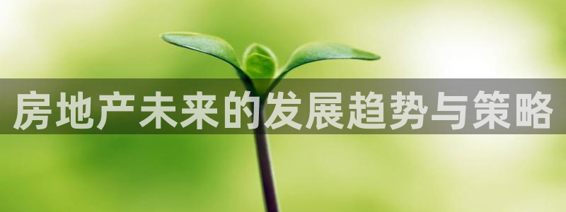 新宝测速5：房地产未来的发展趋势与策略