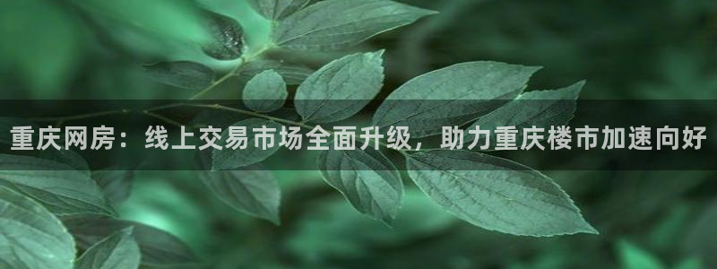 新宝5手机登陆：重庆网房：线上交易市场全面升级，助力重庆楼市