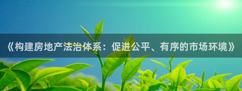 皇冠新宝5：《构建房地产法治体系：促进公平、有序的市场环境》