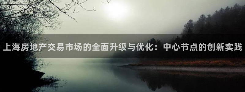 新宝5娱乐学：上海房地产交易市场的全面升级与优化：中心节点的