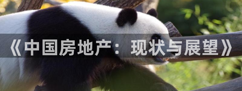 新宝5直属：《中国房地产：现状与展望》