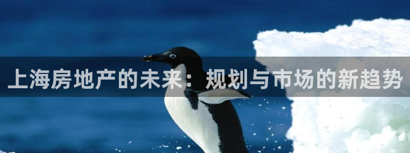 新宝5登录测速中心：上海房地产的未来：规划与市场的新趋势
