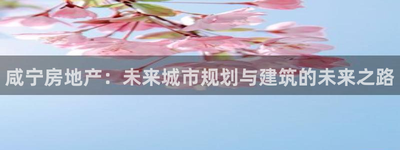 新宝5总代：咸宁房地产：未来城市规划与建筑的未来之路