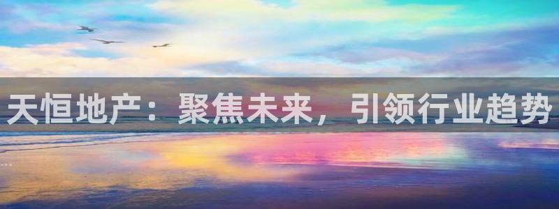 新宝5娱乐如：天恒地产：聚焦未来，引领行业趋势